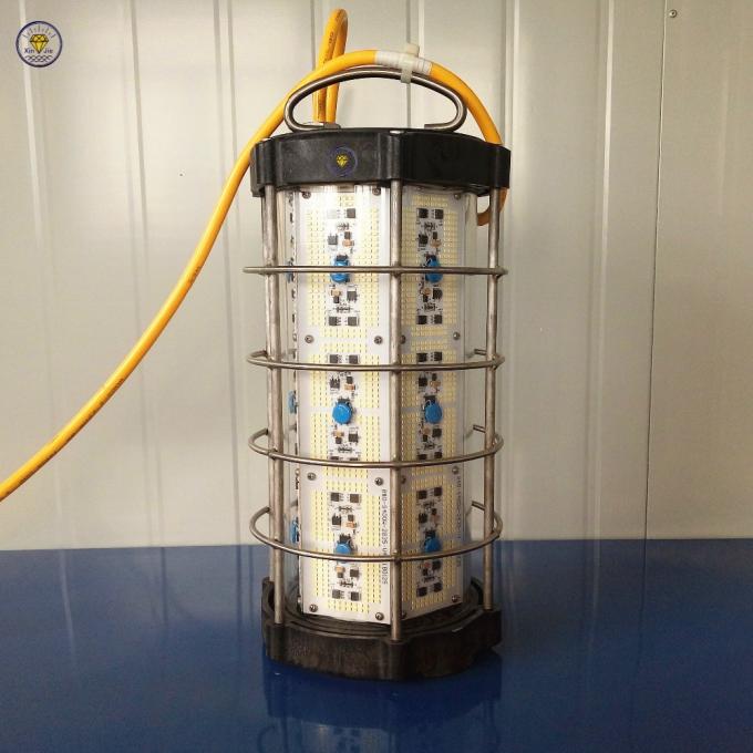 ৩০০০ ওয়াট পানির নিচে মাছ ধরার আলো ৪০০০ ওয়াট সবুজ এলইডি মাছ ধরার আলো সমুদ্রের নিচে নৌকা 6