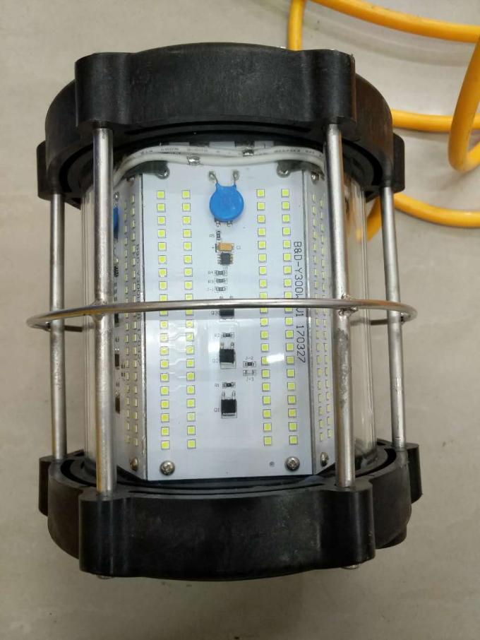 ৩০০০ ওয়াট পানির নিচে মাছ ধরার আলো ৪০০০ ওয়াট সবুজ এলইডি মাছ ধরার আলো সমুদ্রের নিচে নৌকা 7